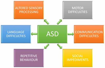 Dysregulation of Neuronal Nicotinic Acetylcholine Receptor–Cholesterol Crosstalk in Autism Spectrum Disorder